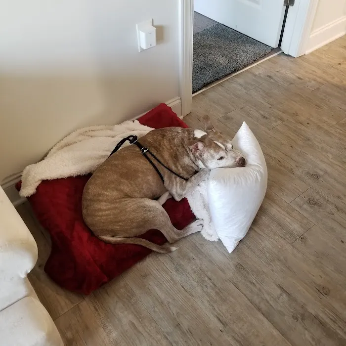 Hopkins Road Animal Hospital 10