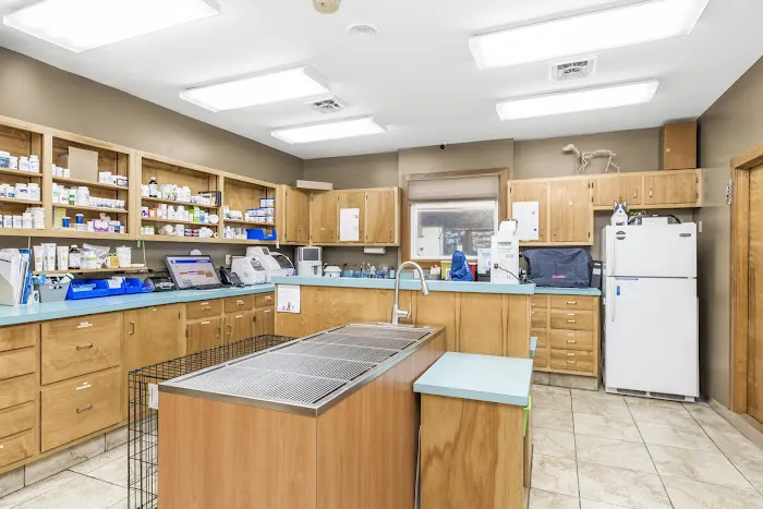 Animal Medical Centre Of Greensboro 4
