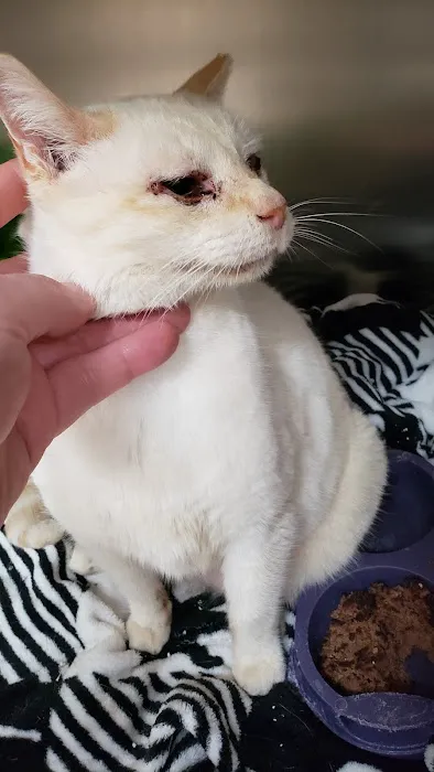 Animal Medical Centre Of Greensboro 5