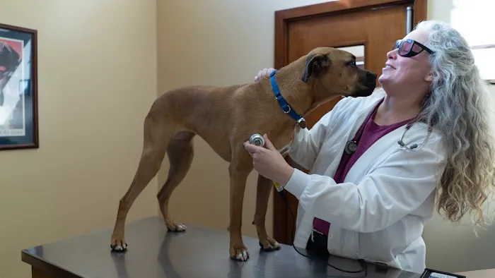 West Market Veterinary Hospital 5