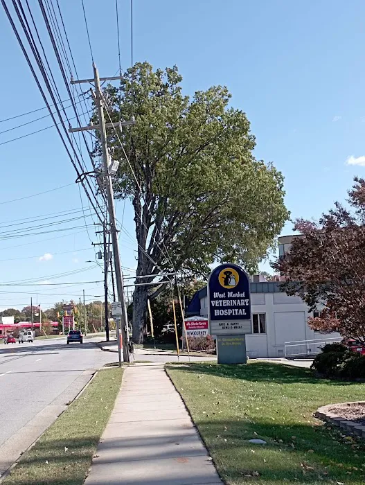 West Market Veterinary Hospital 10
