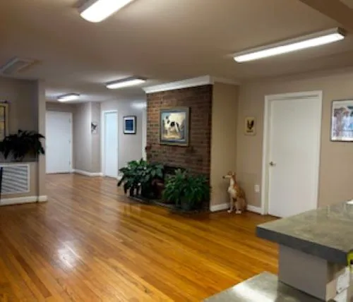 Mebane Veterinary Hospital 8