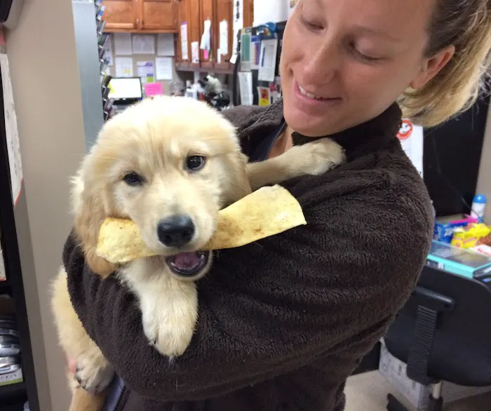 Animal Hospital of Mebane 2