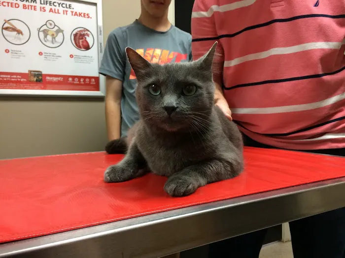 Animal Hospital of Mebane 7