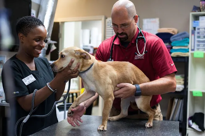 Animal Hospital of Mebane 6