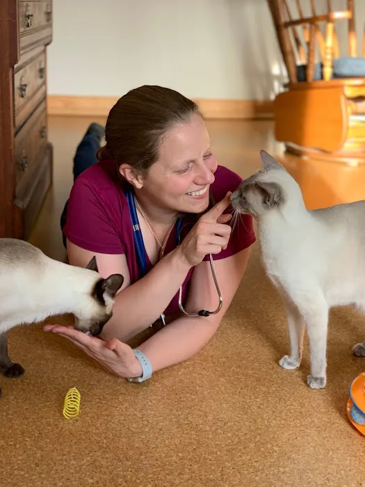 Heal House Call Veterinarian 3