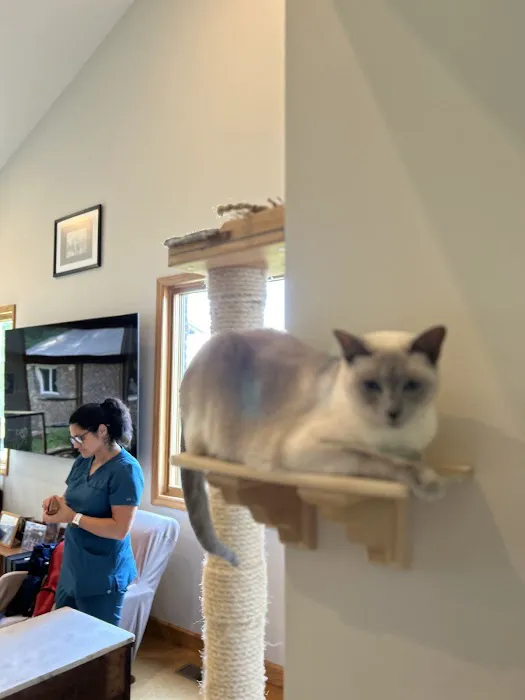 Heal House Call Veterinarian 1