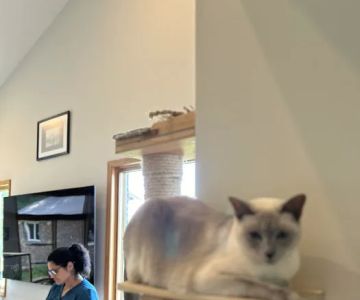 Heal House Call Veterinarian