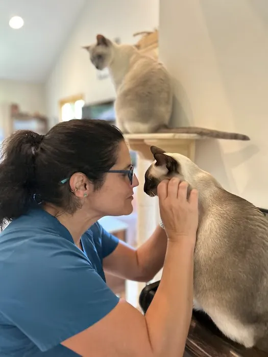 Heal House Call Veterinarian 2
