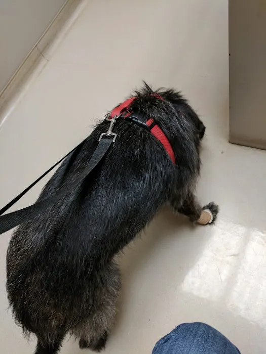 Graham Animal Hospital 4