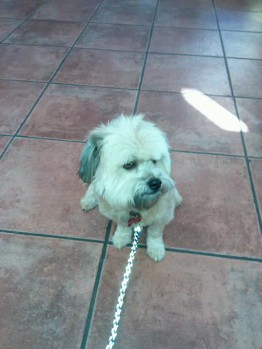 Graham Animal Hospital 8