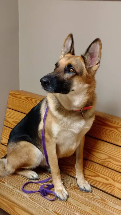 Graham Animal Hospital 6
