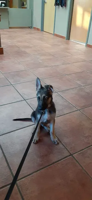 Graham Animal Hospital 7