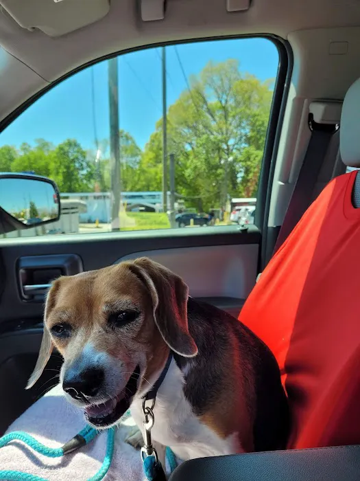 Southern Animal Hospital 5