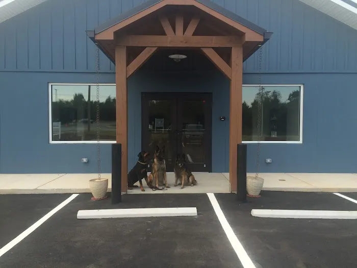 Southern Animal Hospital 4