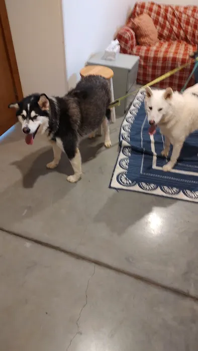 Southern Animal Hospital 2
