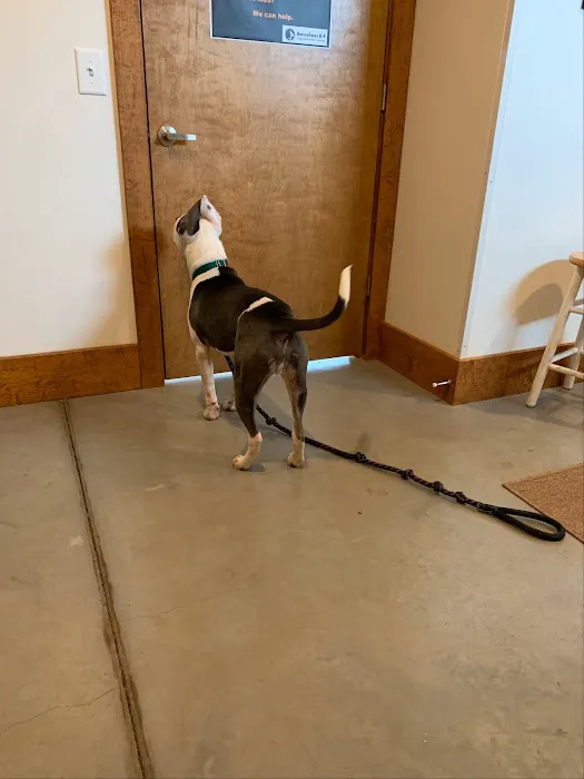 Southern Animal Hospital 3