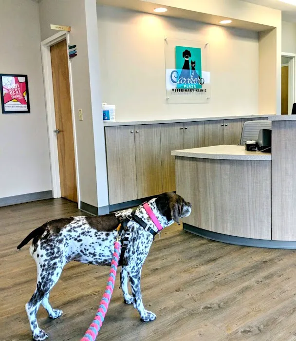 Carrboro Plaza Veterinary Clinic 7