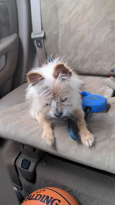 Mebane Pet Clinic 3