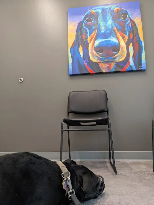 Kindred Heart Animal Hospital 2