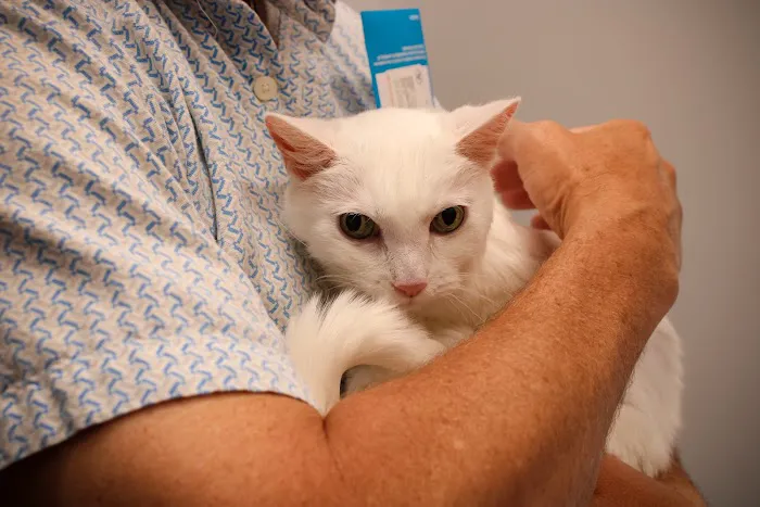 Kindred Heart Animal Hospital 7