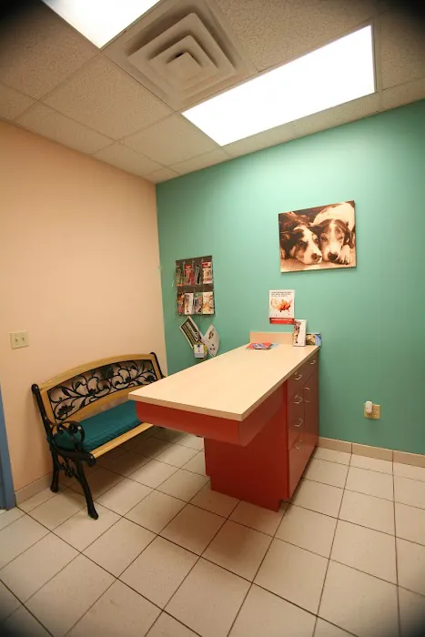 Dogwood Veterinary Hospital & Pet Resort 1