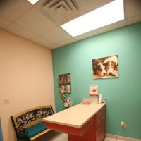 Dogwood Veterinary Hospital & Pet Resort ico