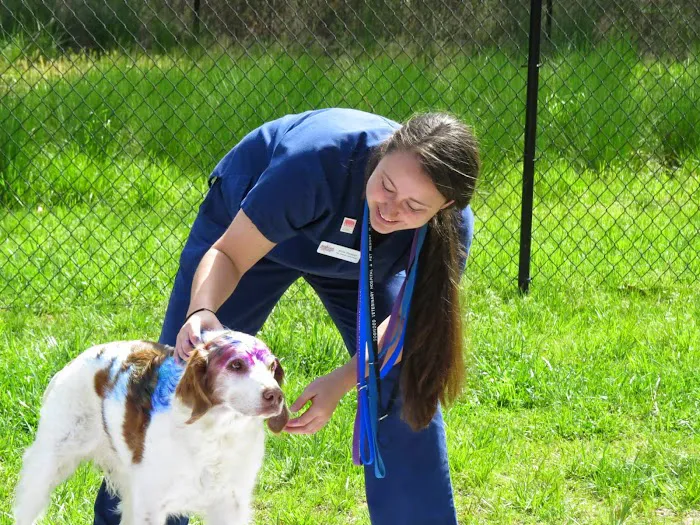 Dogwood Veterinary Hospital & Pet Resort 4