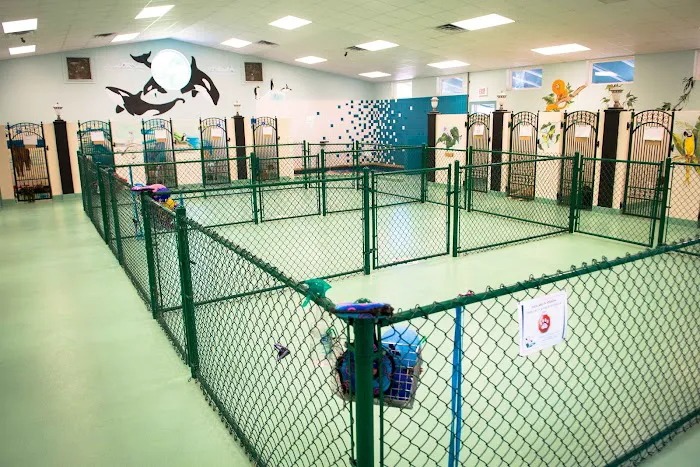 Dogwood Veterinary Hospital & Pet Resort 7