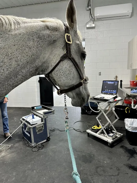 Performance Equine Mobile Veterinary Services PLLC 2