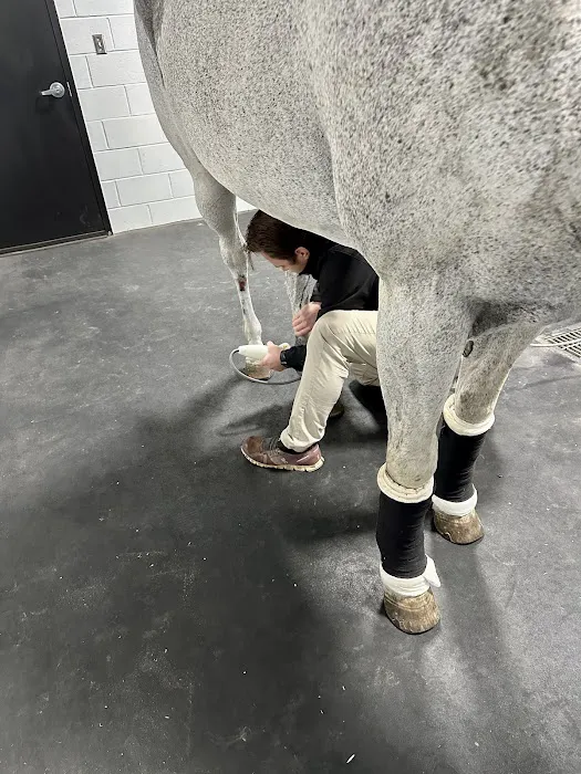 Performance Equine Mobile Veterinary Services PLLC 4