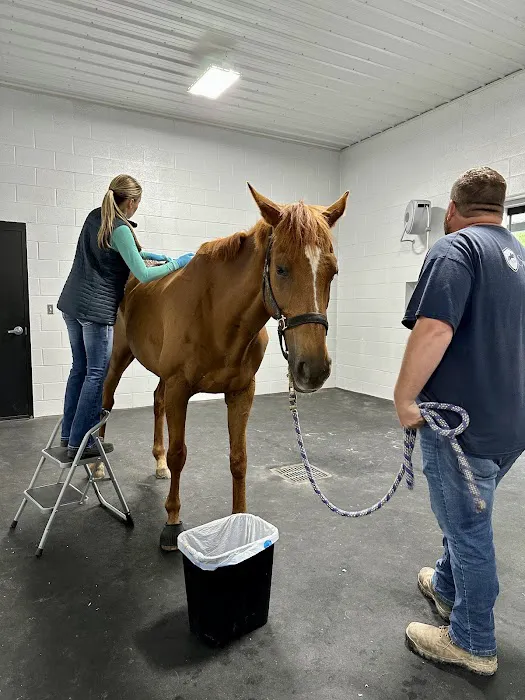 Performance Equine Mobile Veterinary Services PLLC 3
