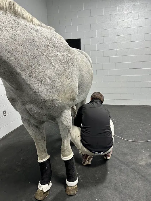 Performance Equine Mobile Veterinary Services PLLC 1