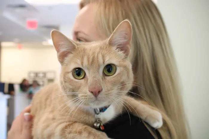 Kindred Heart Animal Hospital at Governors Village 2