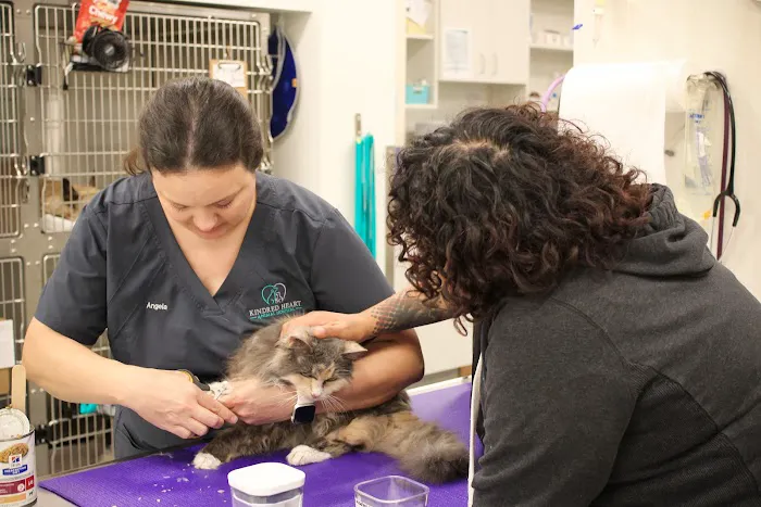 Kindred Heart Animal Hospital at Governors Village 4