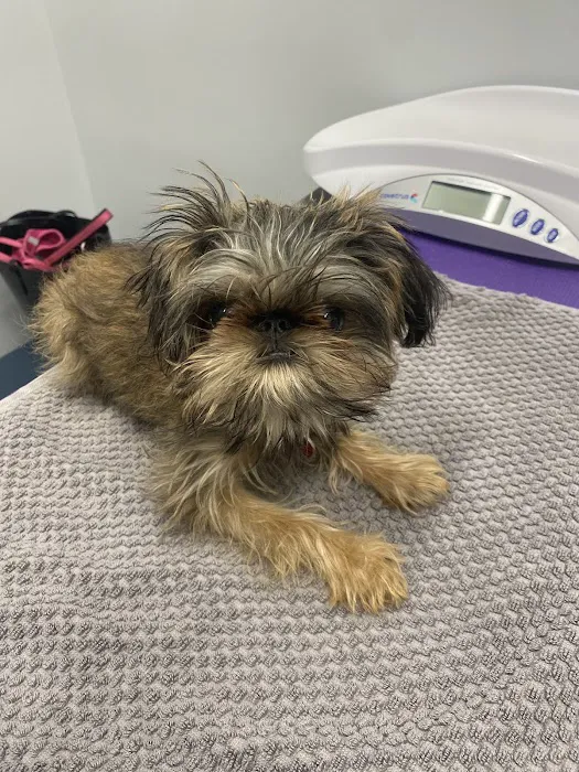Kindred Heart Animal Hospital at Governors Village 7