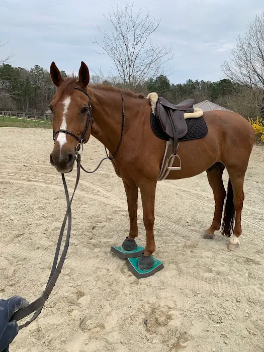 3H Equine Hospital and Mobile Veterinary Services 10