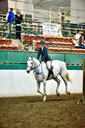 3H Equine Hospital and Mobile Veterinary Services 1