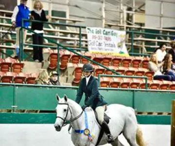3H Equine Hospital and Mobile Veterinary Services
