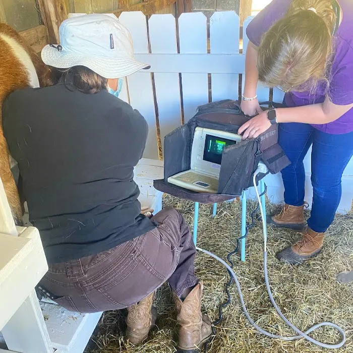 Hoof and Horn Mobile Veterinary Services PLLC 2