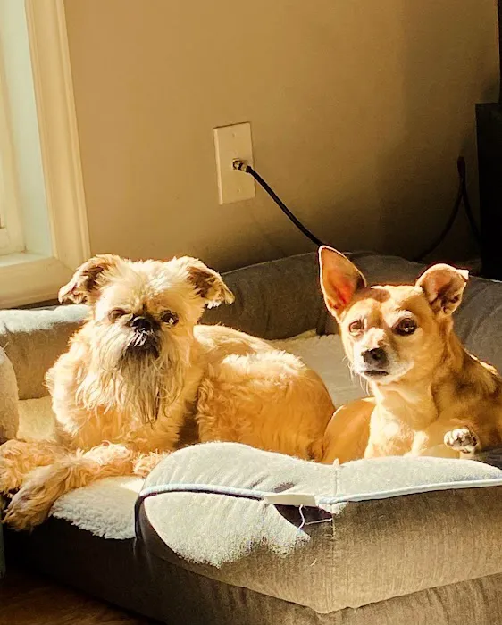 Banfield Pet Hospital 1
