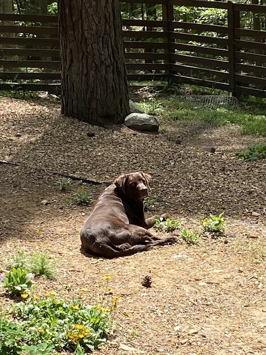 Banfield Pet Hospital 3