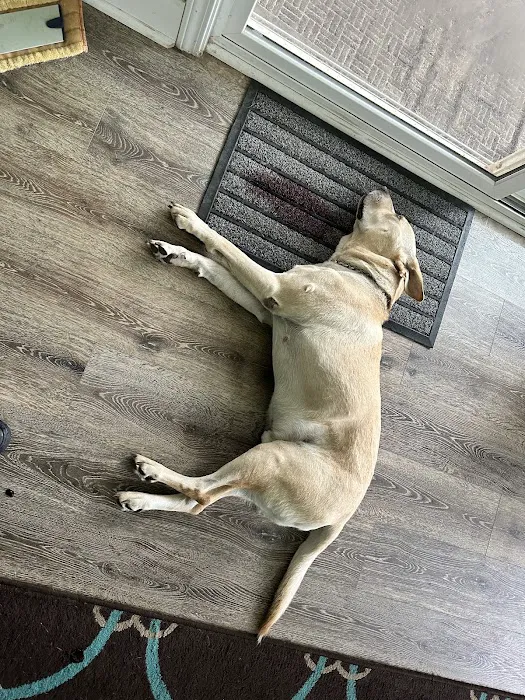 Banfield Pet Hospital 9