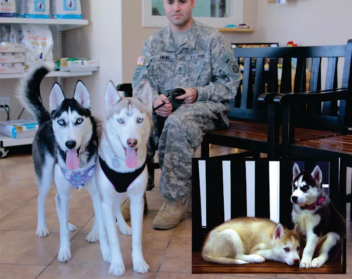 Willow Creek Animal Hospital 6