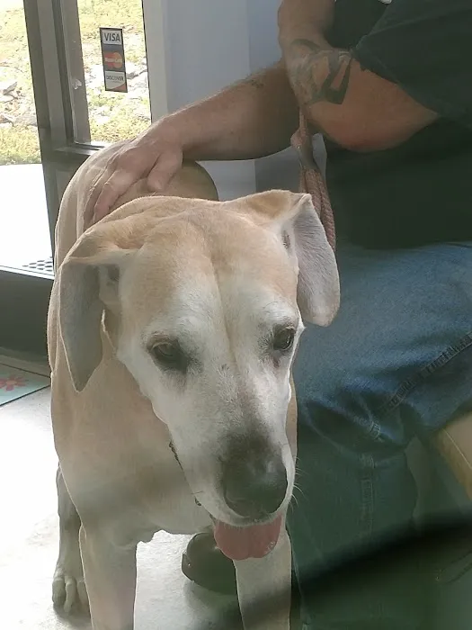 Carolina Veterinary Hospital of Sanford, PC 1