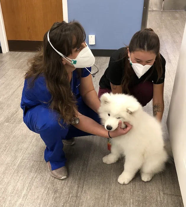 Midtown Veterinary Medical Center 1