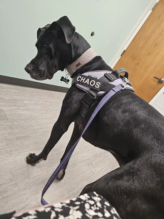 Midtown Veterinary Medical Center 5