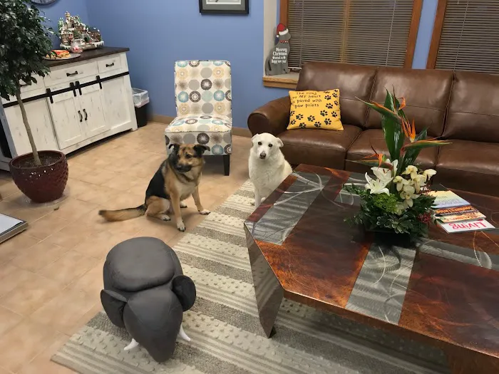 Midtown Veterinary Medical Center 10