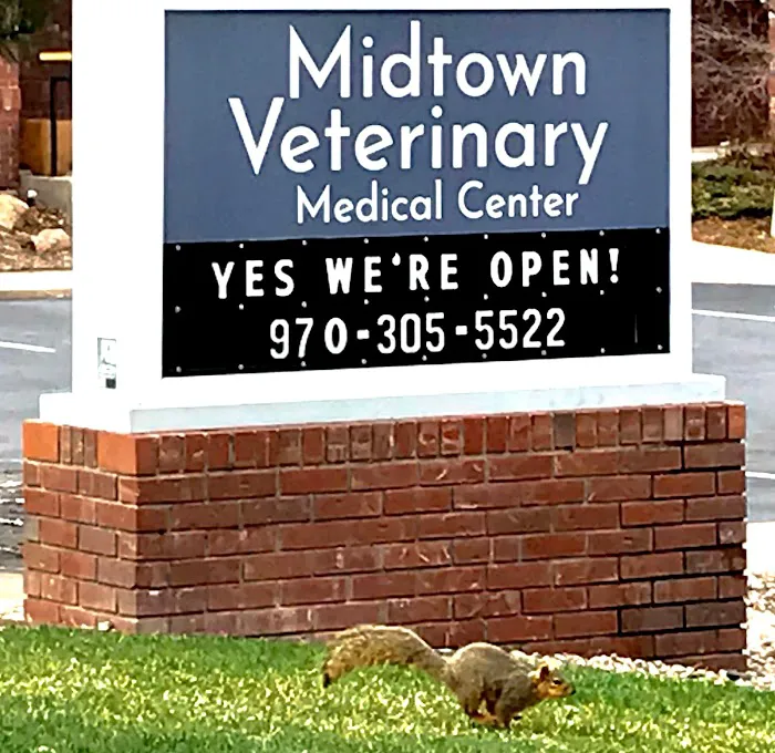Midtown Veterinary Medical Center 8