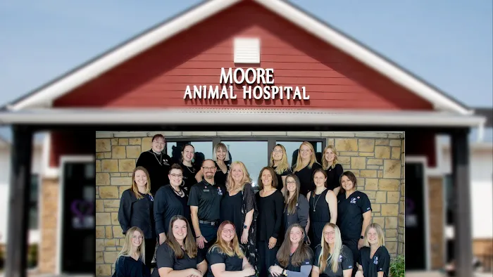Moore Animal Hospital 9